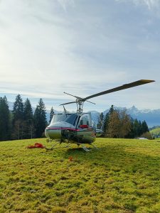 Mehr über den Artikel erfahren Ein seltenes Ereignis, …